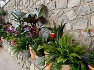 Kendalls Florist_Centurion